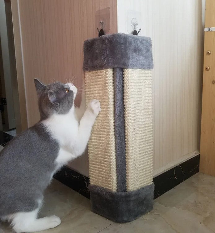 pet furniture