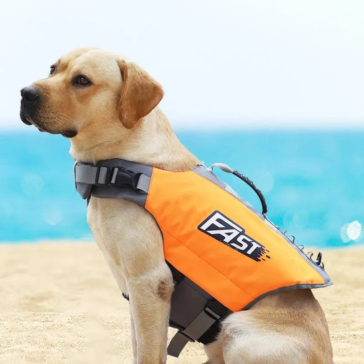 Pet Clothes