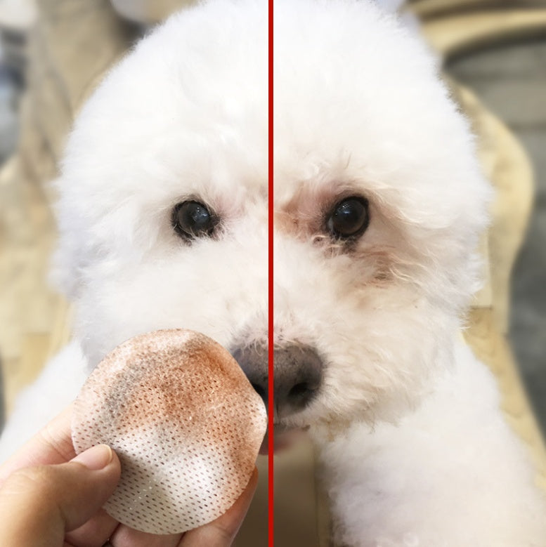 Pets to tears napkins Teddy Bear Xiong Bomei cat eyes paper towels pet supplies