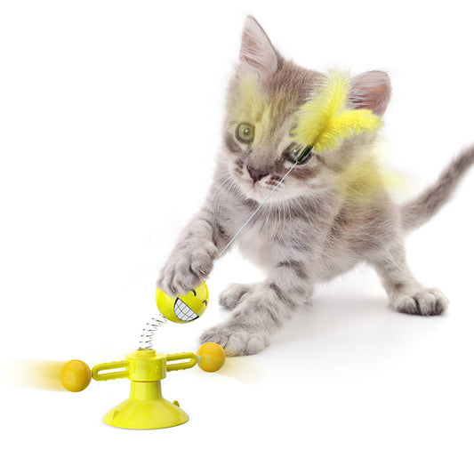 Spring man turns cat toy