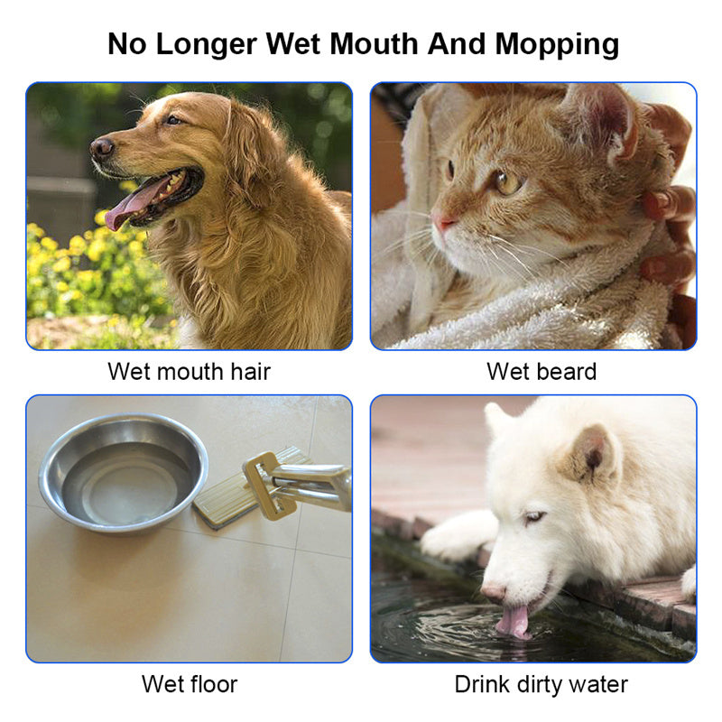 1.5L Cat Dog Water Bowl Portable Floating Bowl with Overflow Protection Slow Flow Water Dispenser Pet Fountain