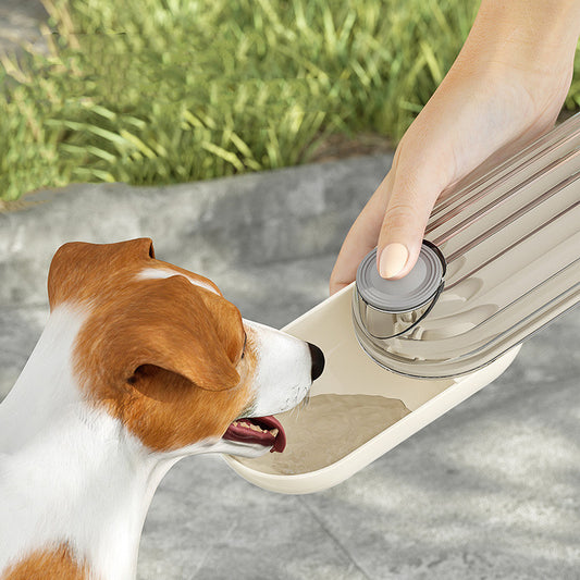 2 in 1 Pet Water and Feeding Cup